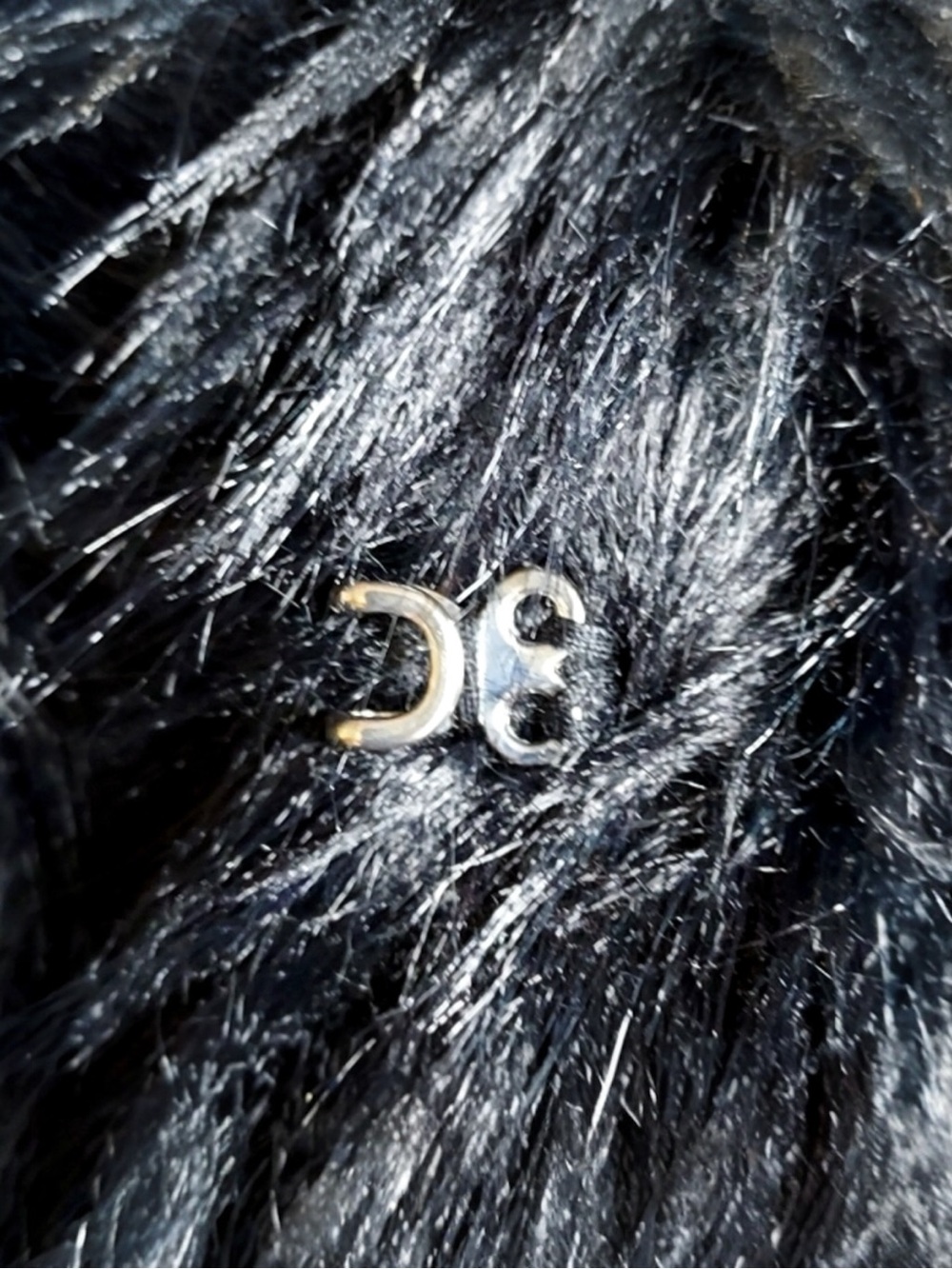 Cider NWT Glam Mob Wife Goth Whimsigoth Alt Eclectic Grandpa Indie Sleaze Coat M - Picture 4 of 9